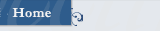 Homepage of Past Perspectives